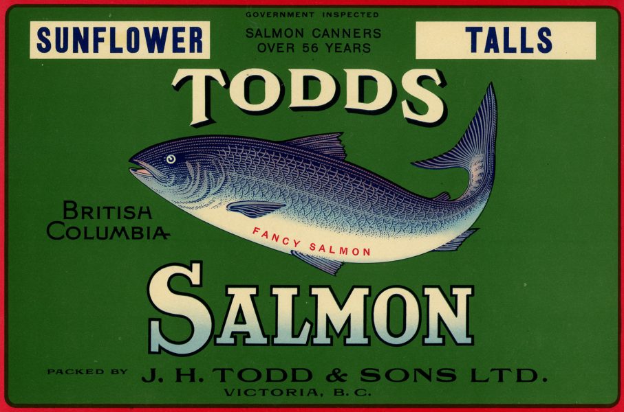 Green label features the image of a salmon and the words "Sunflower Talls. Todds British Columbia Salmon packed by J.H. Todd and Sons Ltd. Victoria B.C."
