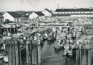 On peut apercevoir plusieurs bateaux de pêche et des filets dans le port. Les bâtiments de la conserverie Gulf of Georgia sont à l'arrière-plan.