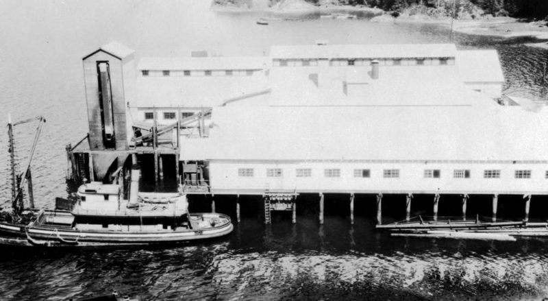 Aerial view of Hecate Cannery with main cannery building on pilings and a packer boat docked along side.