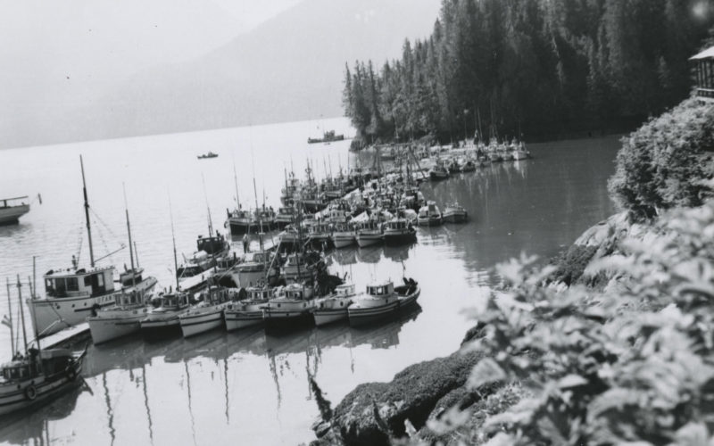 Long quai avec plusieurs bateaux de pêche qui y sont amarrés.
