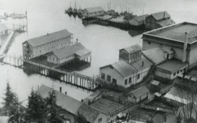 Prise de vue de haut des bâtiments de la conserverie Kildonan et des quais s'avançant dans l'eau.