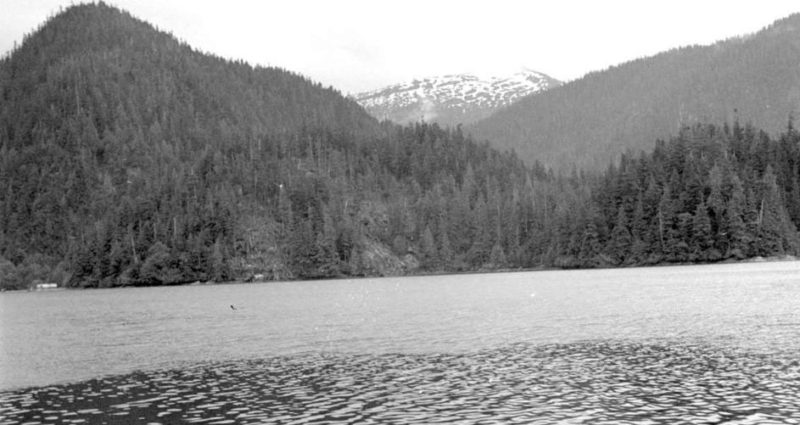 Collines boisées de l'autre côté de l'eau.
