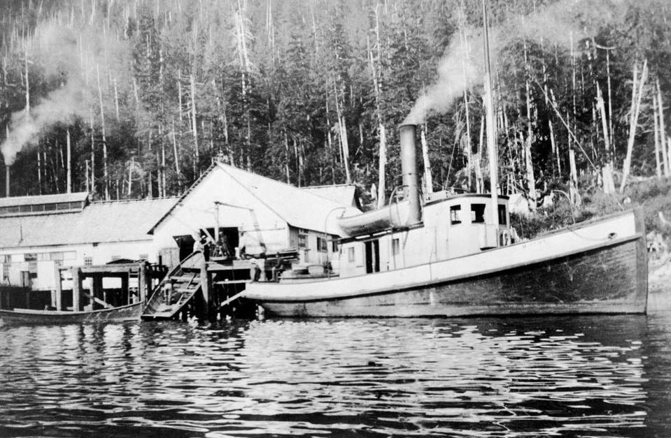 Steamship docked at cannery buildings with land in the background covered in trees.