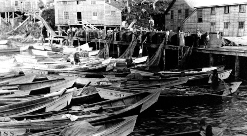 Workers moving nets between the wharf and skiffs in the water below.