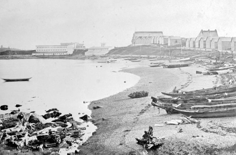 Many wooden canoes are pulled up onto a long curving beach with buildings in the background.