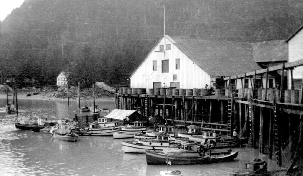 Mill Bay Cannery buildings on pilings above the Nass River with many small fishing vessels at the wharf. 