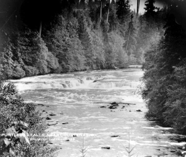 Puntledge River with treed banks. Typed caption reads "Puntledge Falls, near Courtenay, B.C."