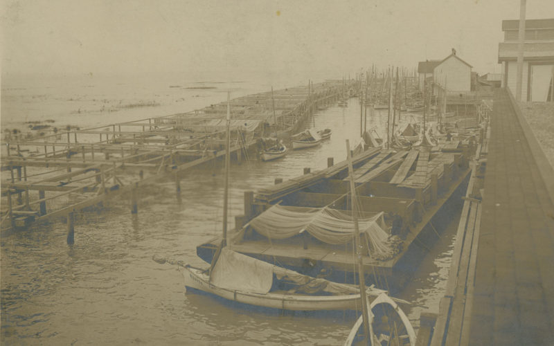 Filets de pêche étendus sur les quais à la conserverie Scottish Canadian.