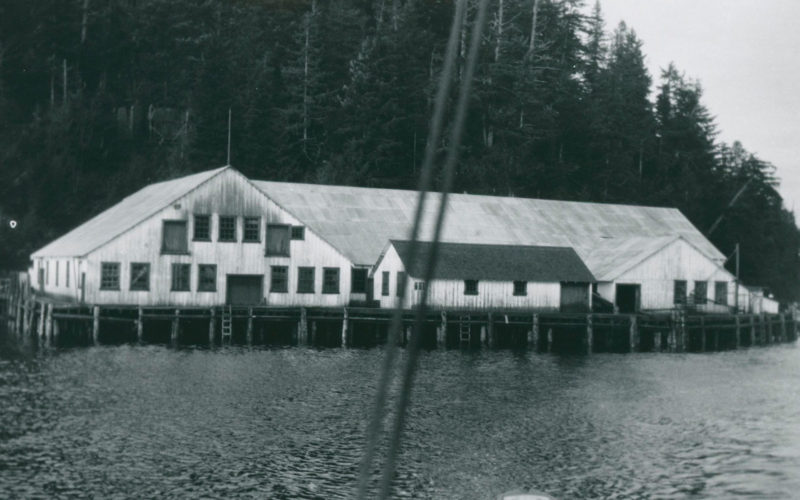 Les bâtiments de la conserverie Shushartie photographiés d'un bateau sur l'eau. En avant-plan, deux cordes faisant partie de l'équipement du bateau. La conserverie est située au bord de l'eau devant une colline boisée.