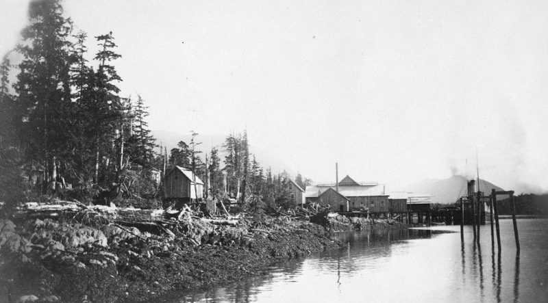 Les bâtiments de la conserverie Standard vus de loin le long d'une berge boisée du fleuve.