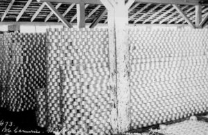 A huge stack of half pound cans is seen stacked up to the roof beams of a warehouse.