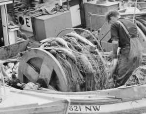 Homme sur un bateau de pêche aux filets maillants enlevant le saumon de son filet.