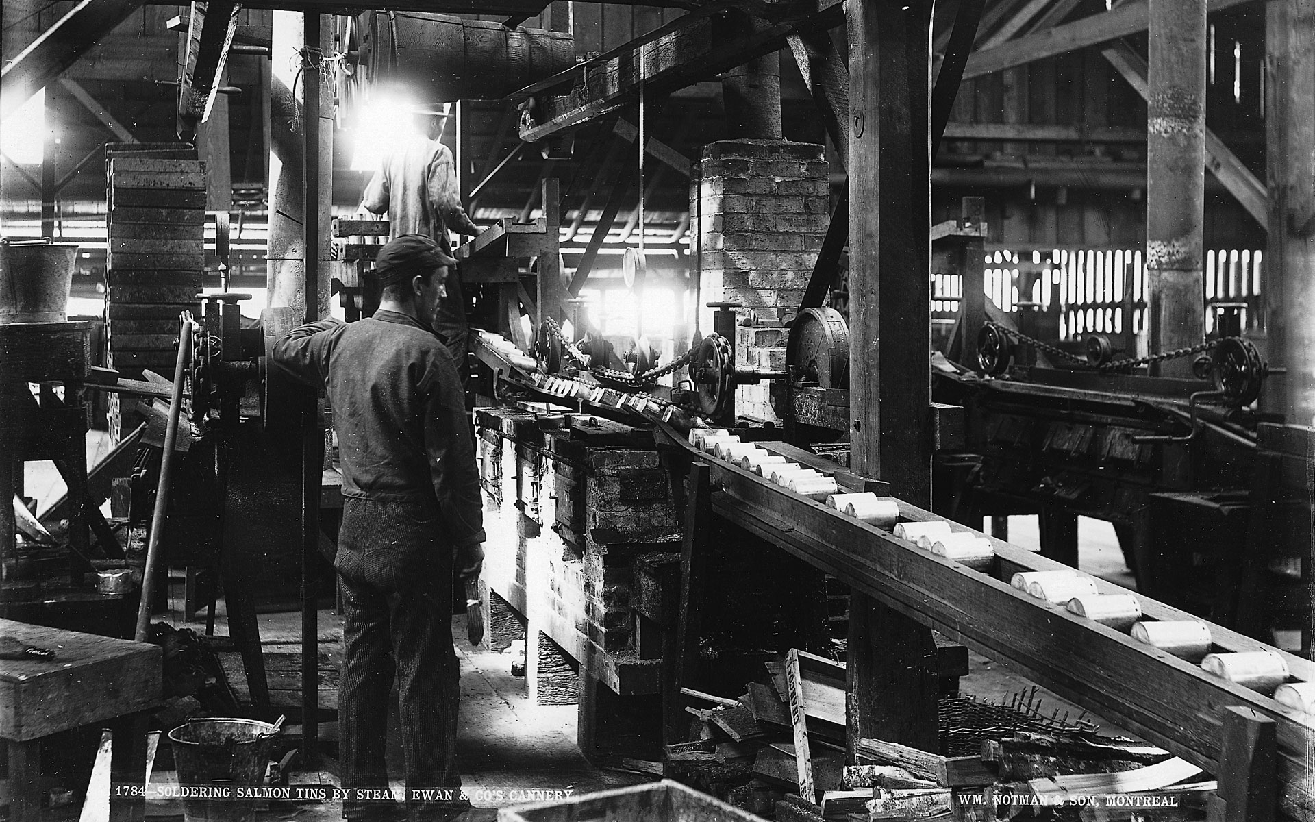 Worker watching one pound salmon cans passing on a conveyor belt through the soldering machine.