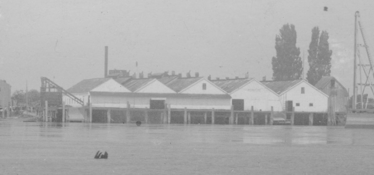 Brunswick Cannery buildings viewed from the water.