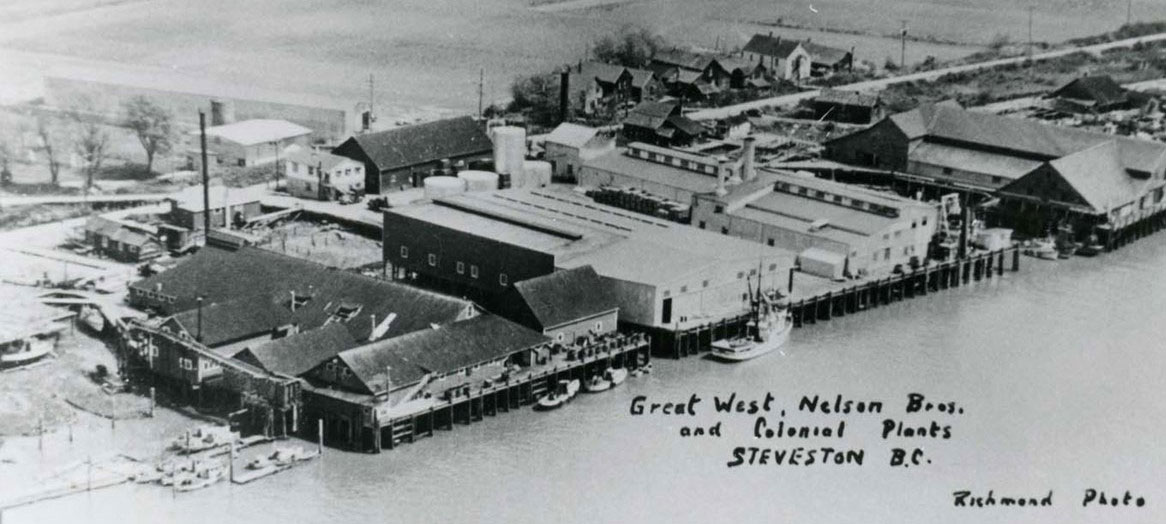 Vue aérienne des rives de Steveston avec des bateaux et des bâtiments de conserverie.