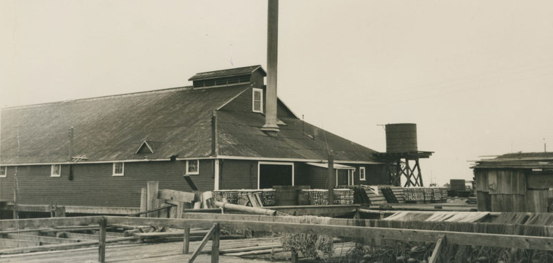 Bâtiment de conserverie et supports à filets en avant-plan.