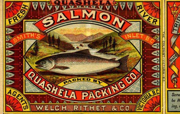 Étiquette de boîte de conserve pour la compagnie Quashela Packing. On pouvait y lire : Saumon frais du fleuve Quashela dans l'anse Smith, C.-B. Emballé par la compagnie Quashela Packing, les représentants Welch, Rithet et Cie, Victoria C.-B. ».