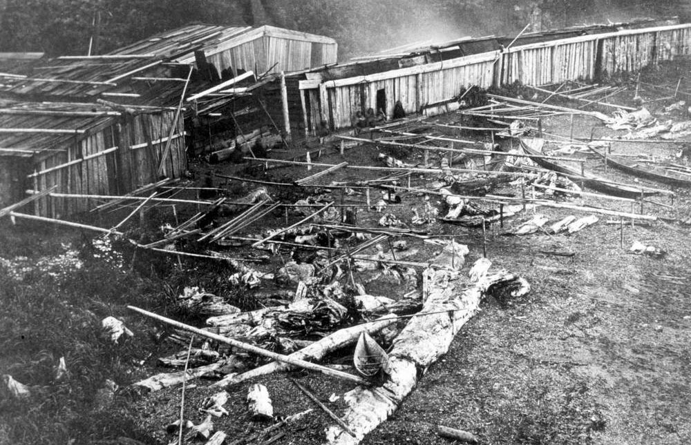 Aerial view of long houses with canoes and drying racks in the foreground