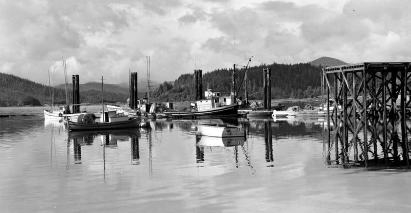 Bateaux de pêche amarrés à un quai.