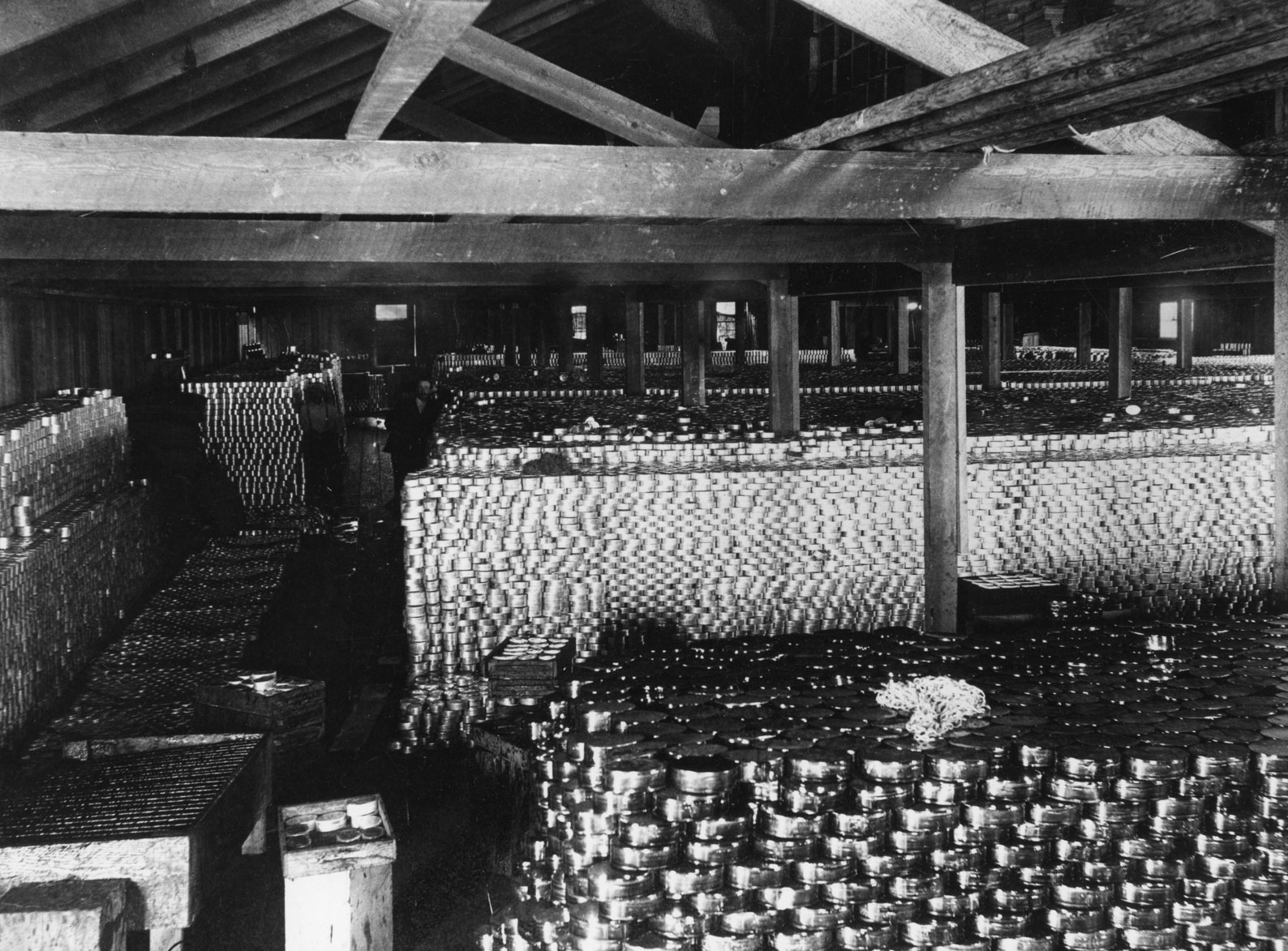Piles de saumon en conserve à l'intérieur de la conserverie Britannia.