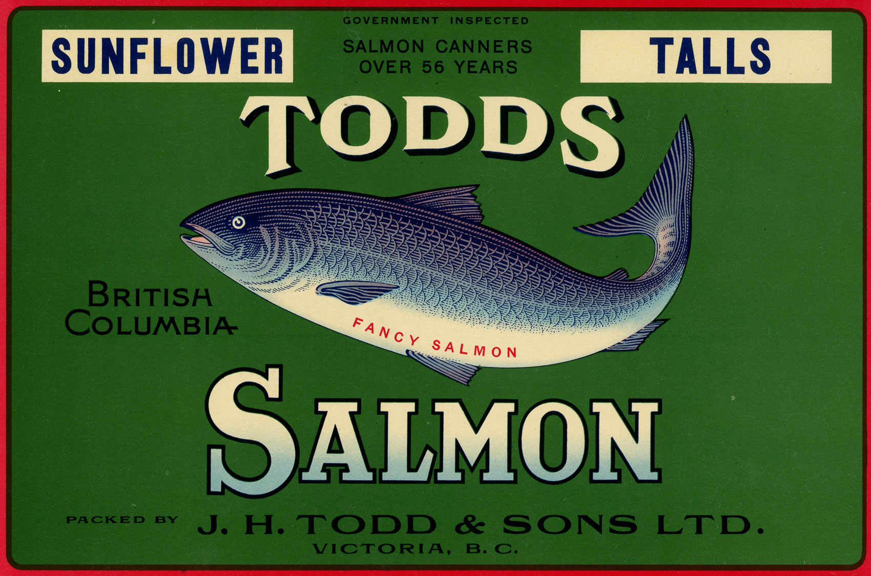 Étiquette verte montrant un saumon et l'inscription « Sunflower Talls. Todds British Columbia Salmon packed by J.H. Todd and Sons Ltd. Victoria B.C. ».