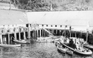 La conserverie Good Hope avec des bateaux amarrés au quai où des barils de filets s'y trouvent.