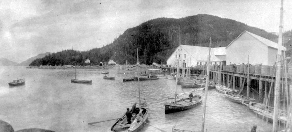 Mill Bay Cannery buildings and wharf with many Columbia River skiffs moored in front of the wharf.