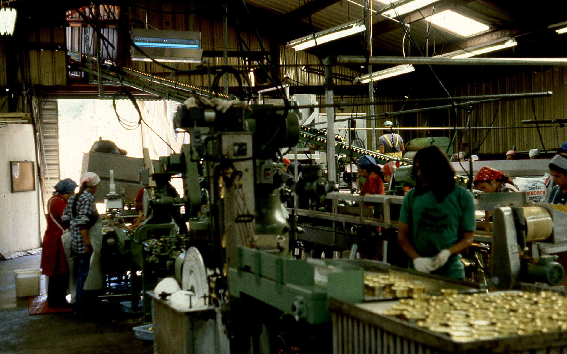 Interior of a modern, mechanized canning line with several workers at different stations.