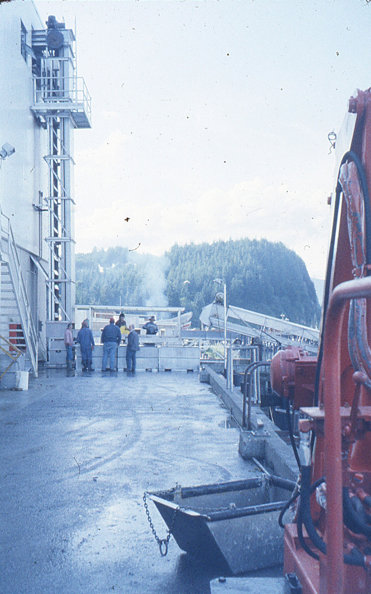 Six travailleurs debout sur le quai près des bacs à poissons à la conserverie Oceanside.