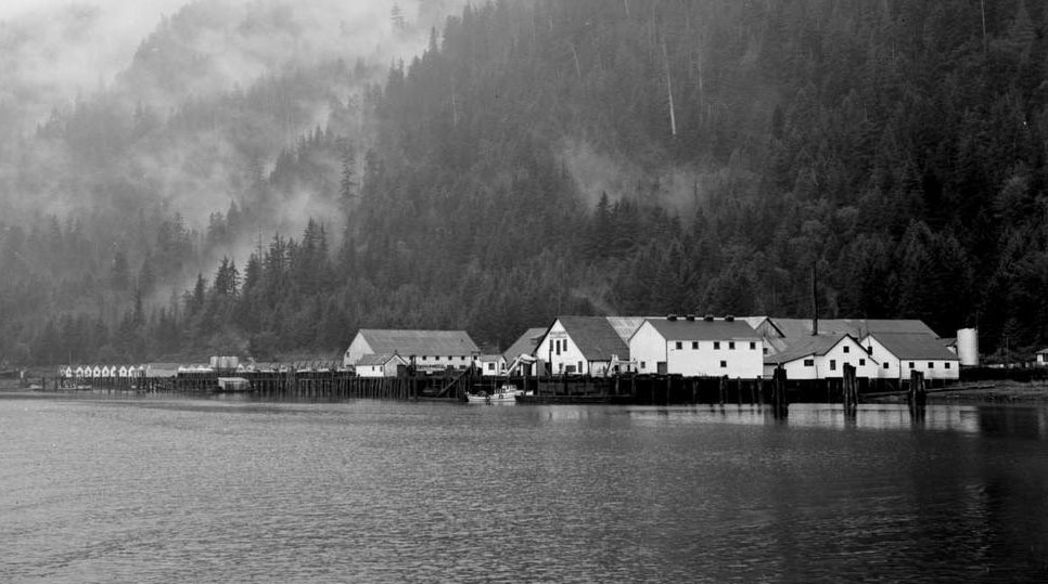 White cannery buildings viewed from a boat on the Skeena River. Behind the buildings are steep treed hills.