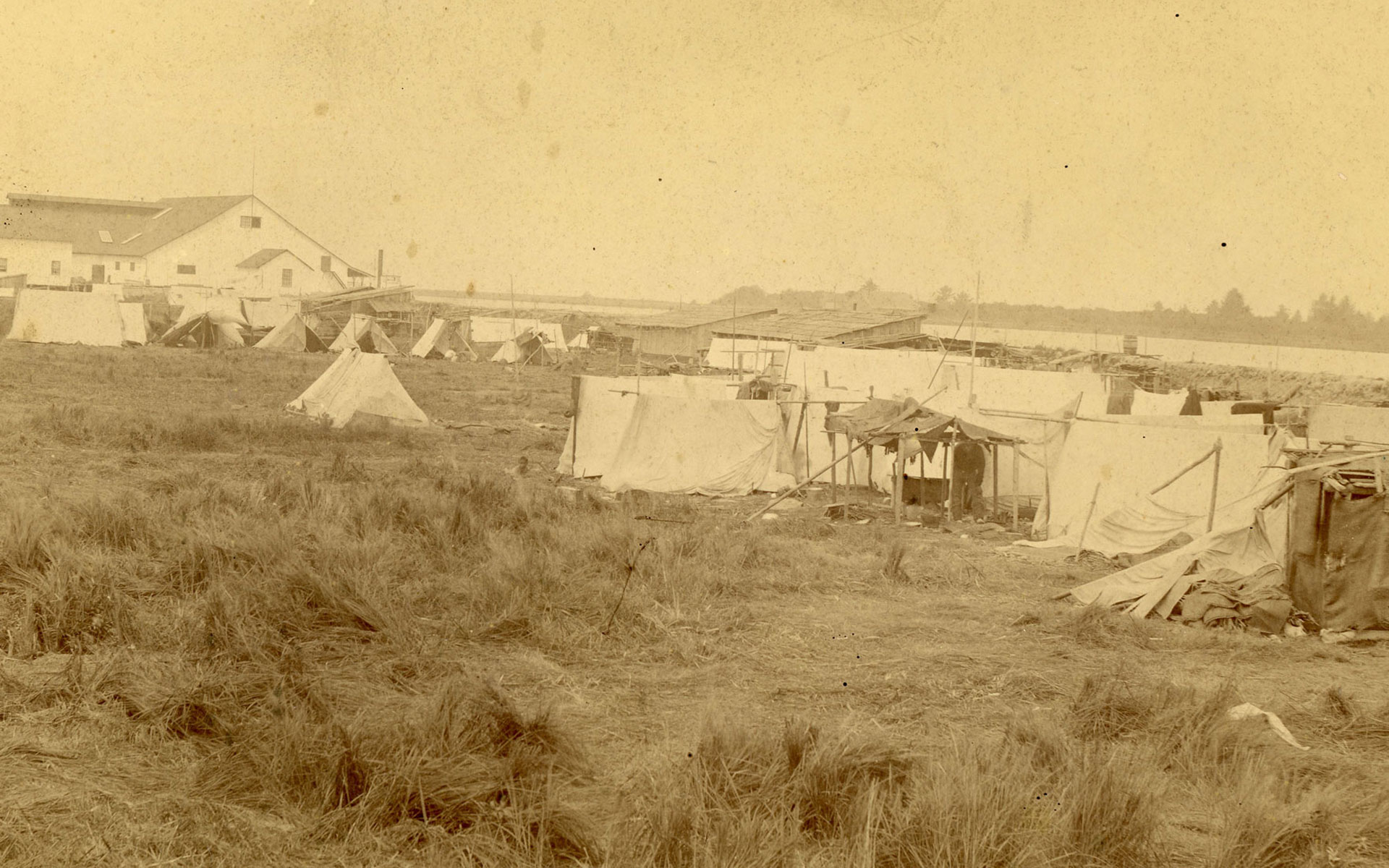 Grouping of tents on a grassy field with a cannery building in the background.