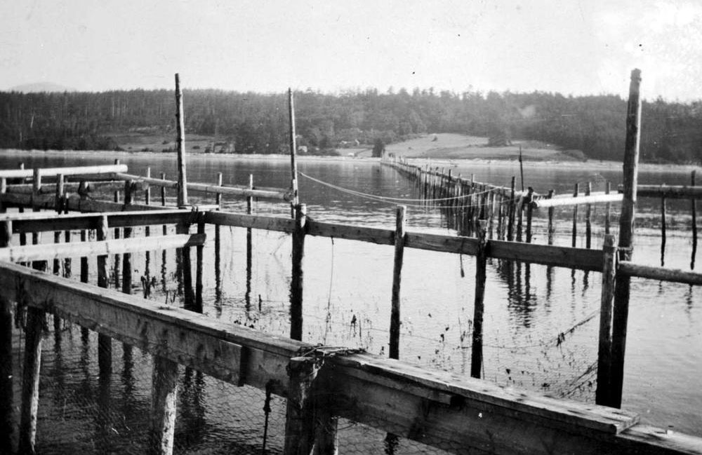 Wooden structures built in the water stretch across the harbour.