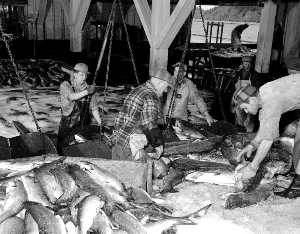 Several men are surrounded by bins containing fish and ice.