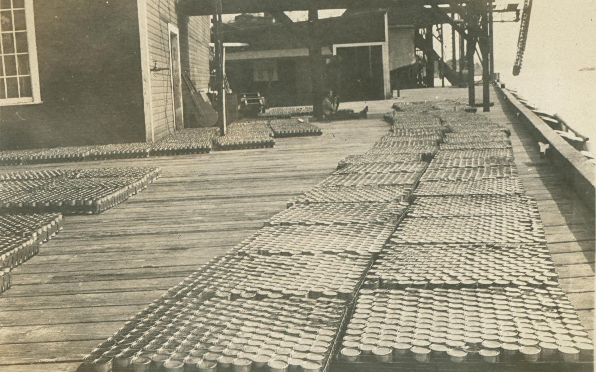 Cannery dock with rows of trays full of canned salmon.