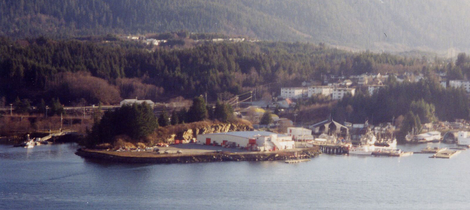 Aerial view of Seal Cove Cannery buildings with water in the foreground and wooded hills in the background